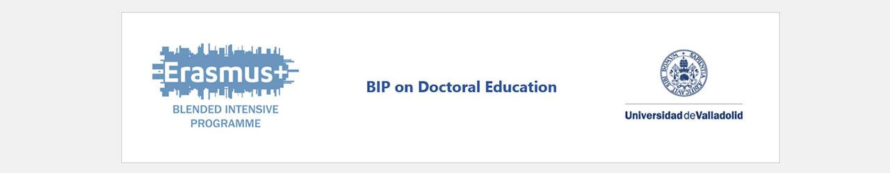 SGroup BIP on Doctoral Education